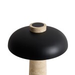 Фото 1 Настольный светильник Freya FR5482TL-L7B