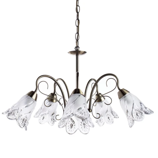 Фото Подвесная люстра Arte Lamp FIORITA A6273LM-5AB