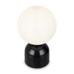 Фото 2 Настольный светильник Freya FR5288TL-01B1