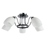 Фото Потолочная люстра Arte Lamp FIORENTINO A7144PL-5BK