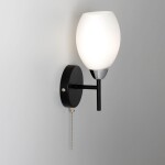 Фото 1 CL148315 Флорида Черн.+Хром Св-к Бра