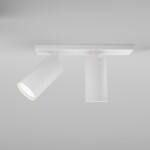 Фото 2 Потолочный светильник Technical C051CL-U-2W