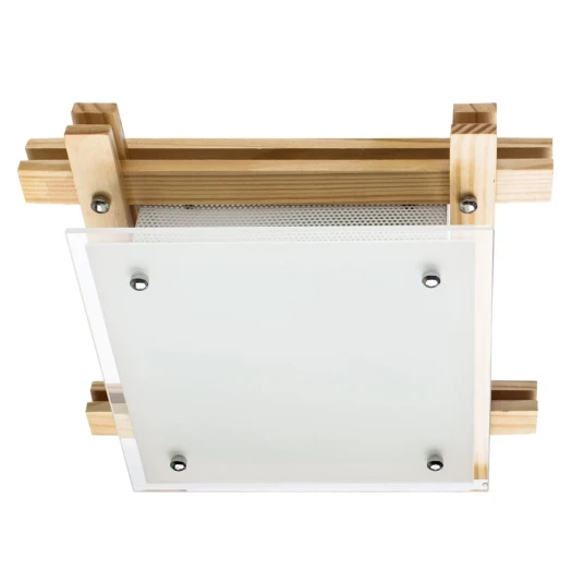 Фото Потолочный светильник Arte Lamp ARCHIMEDE A6460PL-2BR