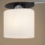 Фото 5 Потолочный светильник Freya FR5101-CL-03-CN