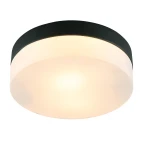 Фото Потолочный светильник Arte Lamp AQUA-TABLET A6047PL-2BK