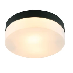 Фото Потолочный светильник Arte Lamp AQUA-TABLET A6047PL-2BK