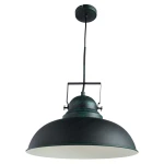 Фото Подвесной светильник Arte Lamp MARTIN A5213SP-1BG