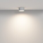 Фото 1 Потолочный светильник Technical C032CL-12W3K-RD-W