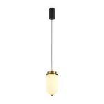Фото 4 Подвесной светильник Freya FR5627PL-L8BBS