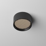 Фото 3 Потолочный светильник Technical C122CL-L7-4K-B