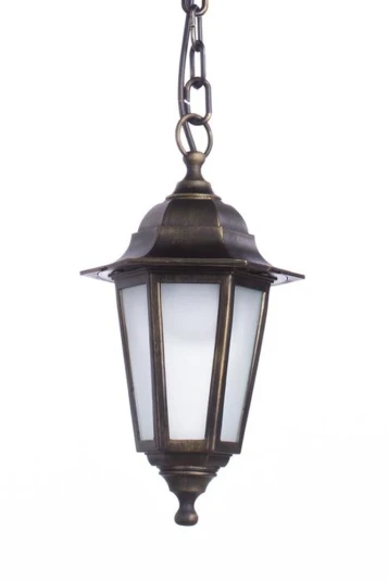 Фото Уличный подвесной светильник Arte Lamp ZAGREB A1217SO-1BR