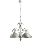 Фото Подвесная люстра Arte Lamp PITTORE A2060LM-5WG