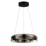 Фото 3 SL6019.323.01 Светильник подвесной ST-Luce Черный/Дымчатый, Белый LED 1*18W 3000K ФОРЕЙ