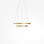 Фото 1 Подвесной светильник Maytoni MOD058PL-L55BSK