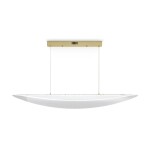 Фото 6 Подвесной светильник Freya FR5441PL-L40G