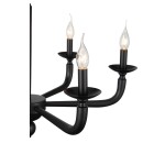 Фото 1 SL1114.403.06 Люстра подвесная ST-Luce Черный E14 6*40W ФОРТЕЗА