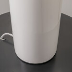 Фото 3 Настольный светильник Maytoni MOD177TL-01W