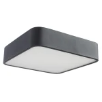 Фото Потолочный светильник Arte Lamp COSMOPOLITAN A7210PL-2BK