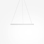 Фото 1 Подвесной светильник Maytoni MOD058PL-L42WK