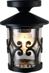 Фото Уличный потолочный светильник Arte Lamp PERSIA A1453PF-1BK