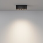 Фото 1 Потолочный светильник Technical C066CL-12W3-6K-B