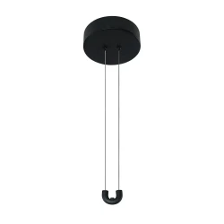 Фото Потолочная чаша с блоком питания Divinare FORMICA 1900/06 PL-60