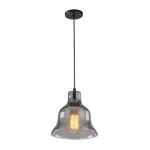 Фото Подвесной светильник Arte Lamp AMIATA A4255SP-1SM
