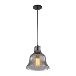 Фото Подвесной светильник Arte Lamp AMIATA A4255SP-1SM