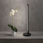 Фото 1 6738 Настольная лампа TORCH