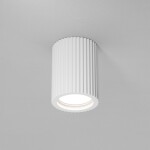 Фото 3 Потолочный светильник Technical C121CL-GU10-W