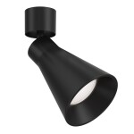 Фото 4 Потолочный светильник Technical C061CL-01B