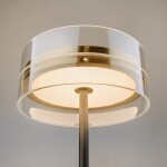 Фото 8 Настольный светильник Maytoni MOD348TL-L14BBS3K