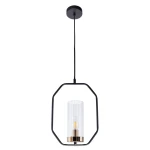 Фото Подвесной светильник Arte Lamp CELAENO A7004SP-1BK