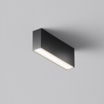 Фото 2 Потолочный светильник Technical C068CL-12W3-6K-B