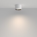 Фото 2 Потолочный светильник Technical C127CL-L7W4K-W