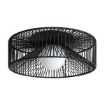 Фото 1 Потолочный светильник Freya FR5405CL-01B