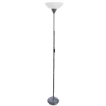 Фото Торшер Arte Lamp DUETTO A9569PN-1SI