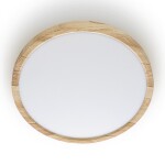 Фото 5 CL738242V Бейсик Клен Св-к Накл. LED 24W*Мульти