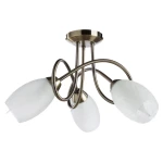 Фото Потолочная люстра Arte Lamp MUTTI A8616PL-3AB