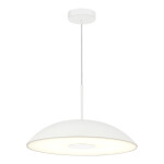 Фото SL6128.503.01 Светильник подвесной ST-Luce Белый/Белый LED 1*24W 3000K ЛИДИА