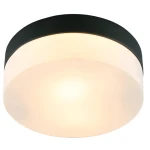 Фото Потолочный светильник Arte Lamp AQUA-TABLET A6047PL-1BK