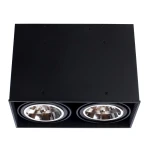 Фото Точечный накладной светильник Arte Lamp CARDANI GRANDE A5936PL-2BK