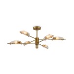 Фото 4 Потолочный светильник Freya FR5420CL-06BS