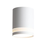 Фото ST101.502.12 Светильник потолочный Белый LED 1*12W 3000K 936Lm Ra>80 120° IP20 D79xH100 170-240V Накладные светильники