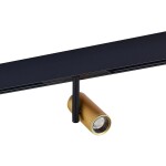 Фото 2 ST808.236.08 Магнитный трековый светильник Золотистый LED 1*8W 3000K 550Lm Ra>90 36° IP20 D42xH135 4 SKYLINE 48