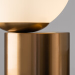 Фото 1 Настольный светильник Freya FR5286TL-01BS