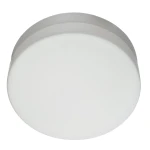 Фото Потолочный светильник Arte Lamp AQUA A3211PL-2WH