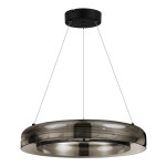 Фото 3 SL6019.333.01 Светильник подвесной ST-Luce Черный/Дымчатый, Белый LED 1*36W 3000K ФОРЕЙ