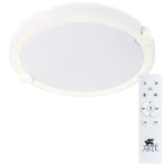 Фото Потолочный светильник Arte Lamp BISCOTTI A2679PL-72WH