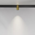 Фото 5 Трековый светильник Technical TR122-2-7W4K-BS